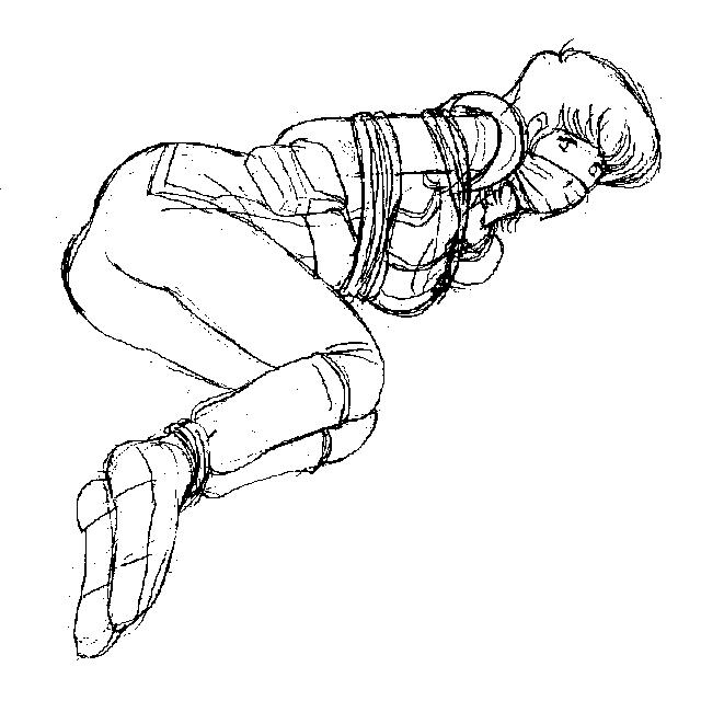 �p�v���B�̂��K