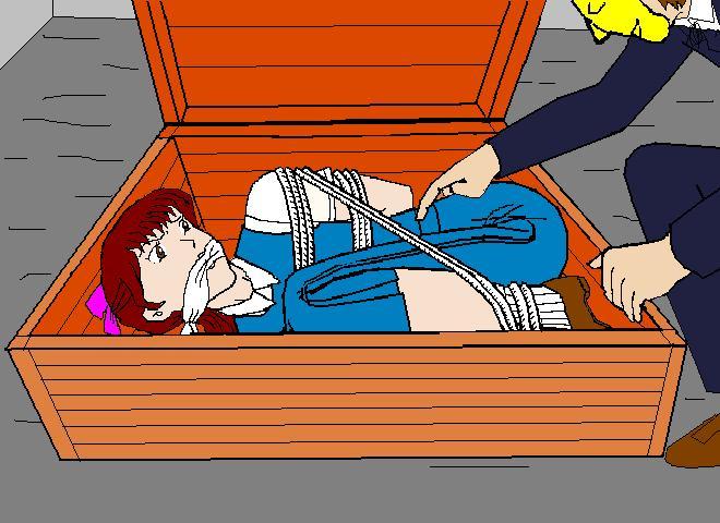 �����T��Ɖ�������