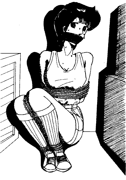 �{�[�C�b�V�������T��i�{�j