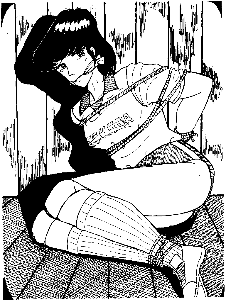 ���q�o���[�����ċ�